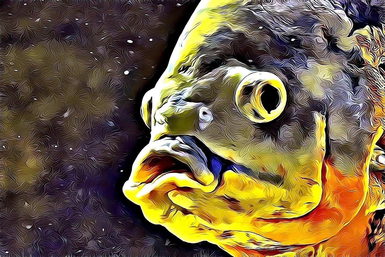 龍魚配什么魚最吉利【七星刀魚和什么魚混養(yǎng)最吉利？】 龍魚配什么魚最吉利【七星刀魚和什么魚混養(yǎng)最吉利？】 水族問答 第2張
