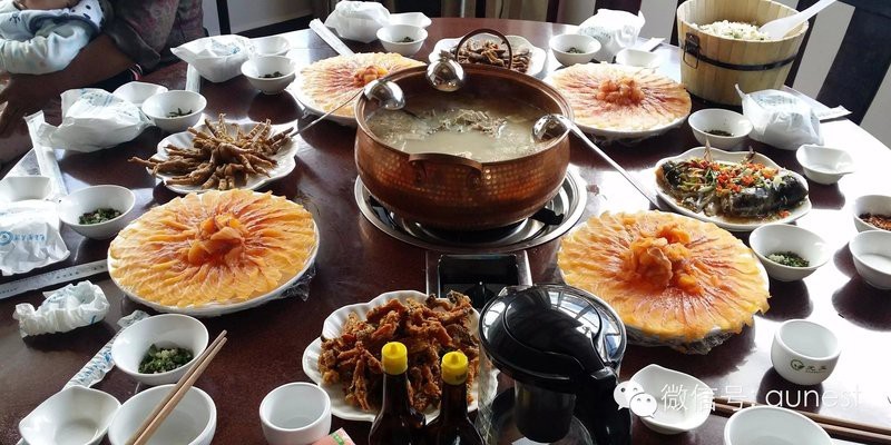 石鼓龍魚店【東莞石鼓龍魚店】 石鼓龍魚店【東莞石鼓龍魚店】 全國水族館企業(yè)名錄 第1張