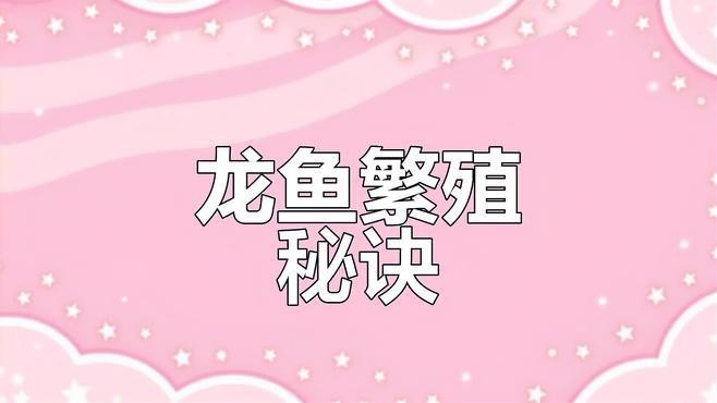 龍魚飼養需要什么樣的過濾系統？【嗶哩嗶哩龍魚繁殖全解析,過濾系統大揭秘!】 龍魚飼養需要什么樣的過濾系統？【嗶哩嗶哩龍魚繁殖全解析,過濾系統大揭秘!】 龍魚論壇 第2張