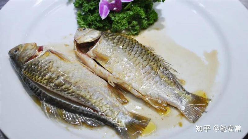 阜南龍魚店【鹵鯽魚鮑安常阜南哪家口碑最好】 阜南龍魚店【鹵鯽魚鮑安常阜南哪家口碑最好】 全國水族館企業名錄 第3張