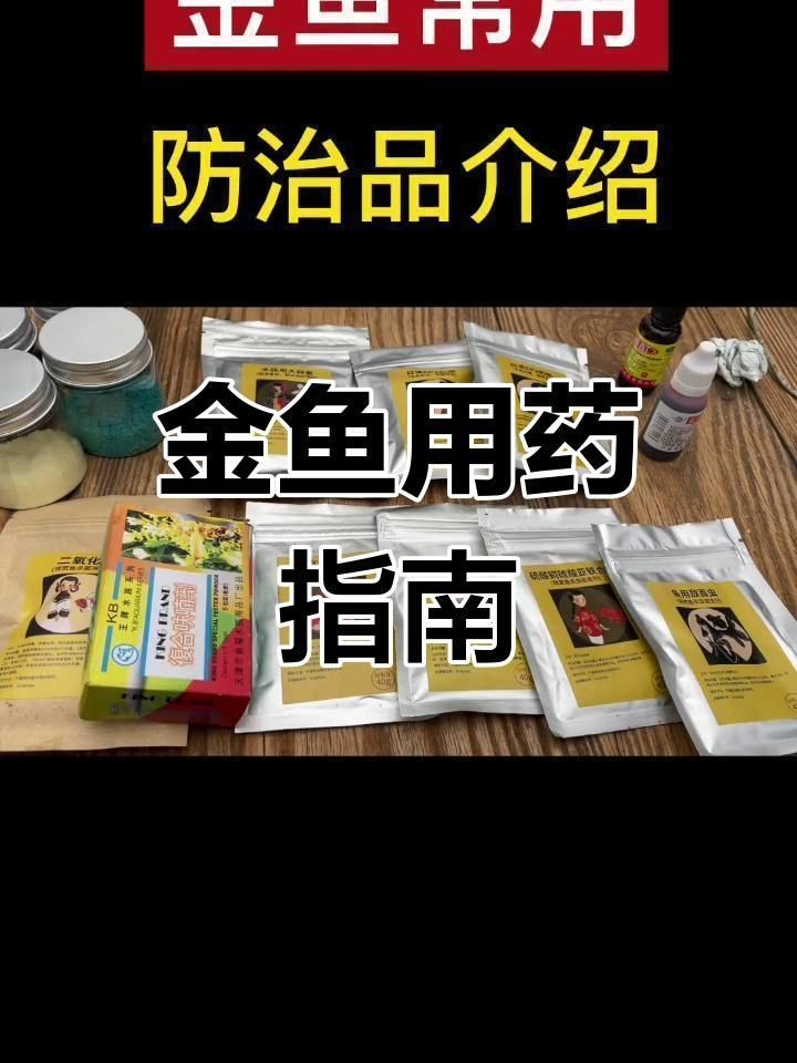 金魚常見疾病預防【如何預防金魚疾病】 金魚常見疾病預防【如何預防金魚疾病】 龍魚百科 第5張