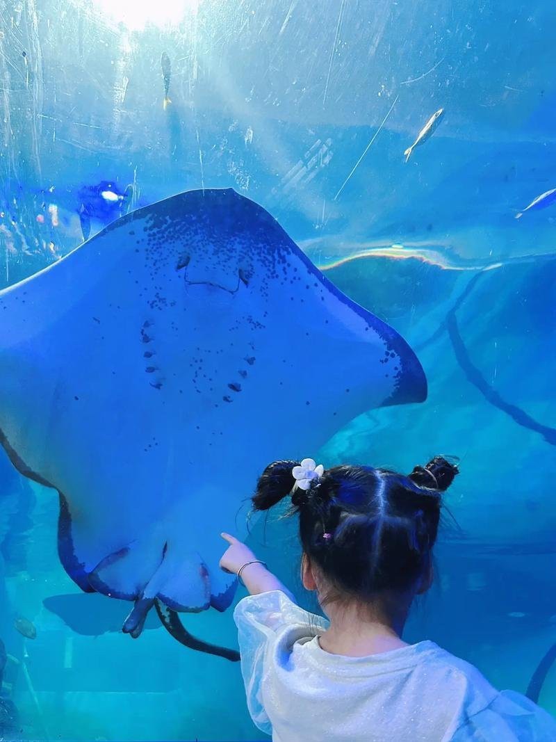 鄂州水族店【鄂州水族店哪家好】 全國水族館企業名錄 第7張 鄂州水族店【鄂州水族店哪家好】 鄂州水族店【鄂州水族店哪家好】 全國水族館企業名錄 第7張