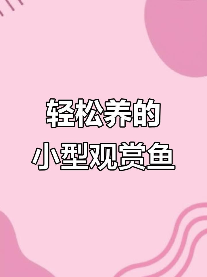 迷你小型觀賞魚【《迷你小型觀賞魚：水中的精靈》**，迷你小型觀賞魚盤點】