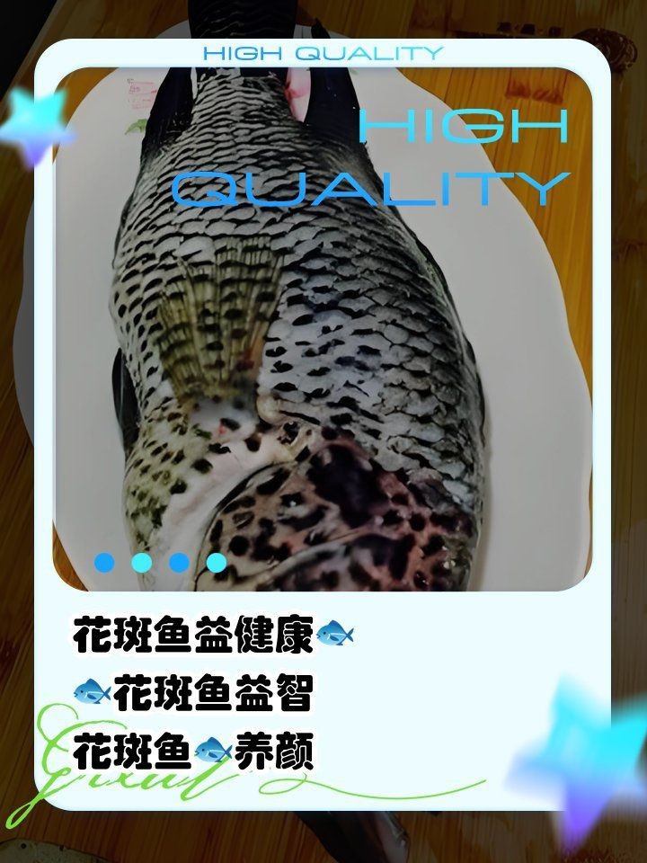 花斑魚哪個好【《花斑魚哪個好》】 龍魚論壇 第5張 花斑魚哪個好【《花斑魚哪個好》】 花斑魚哪個好【《花斑魚哪個好》】 龍魚論壇 第5張