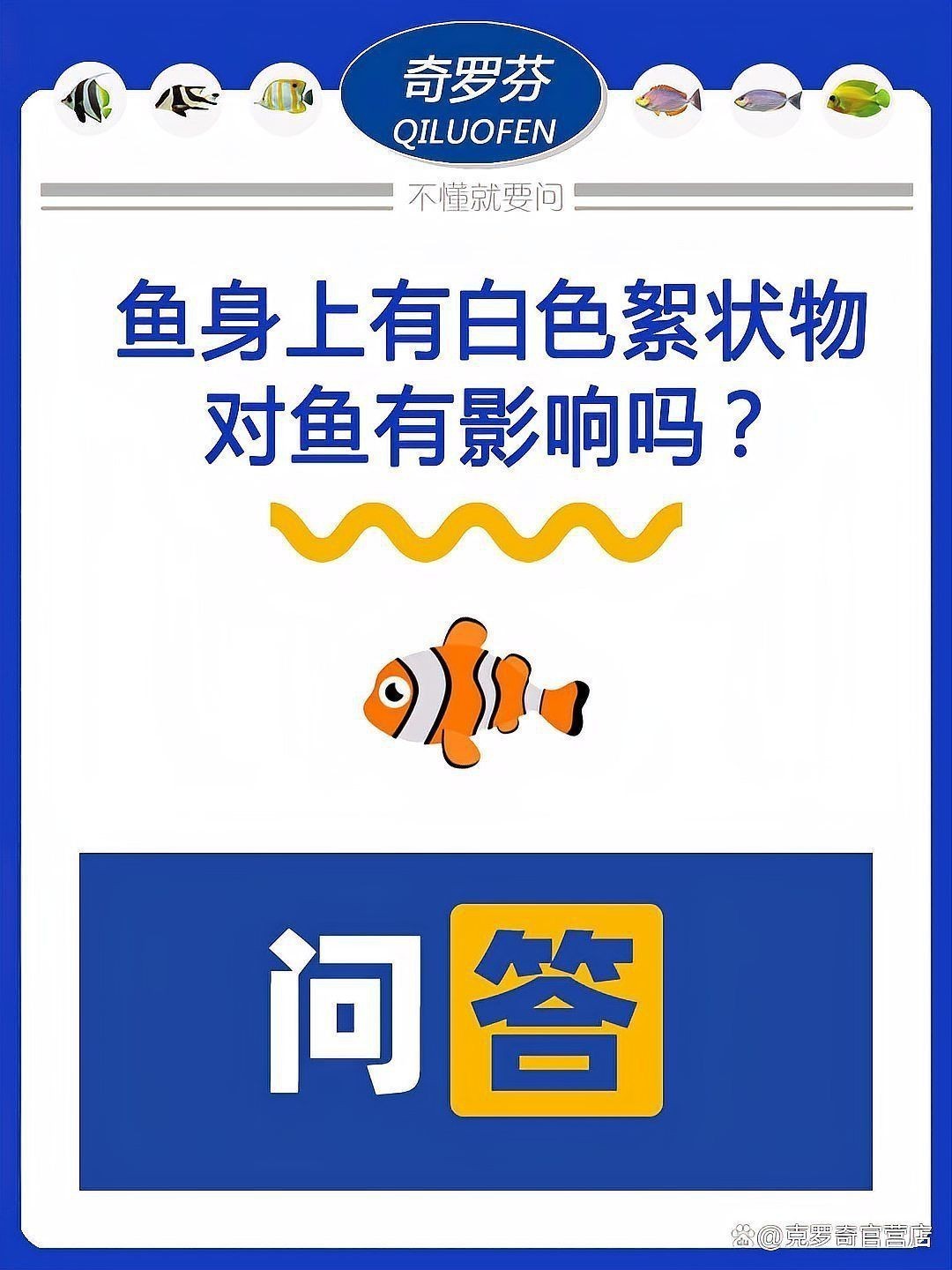 湖龍魚化石圖片欣賞大全，<strong><mark>巢湖</mark></strong>龍魚化石圖片欣賞大全，<strong><mark>巢湖</mark></strong>龍魚化石圖片欣賞