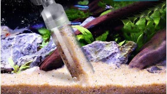 龍龜放魚缸需要多久清洗一次？【龍龜放魚缸有哪些講究,如何判斷魚缸是否需要清洗？】