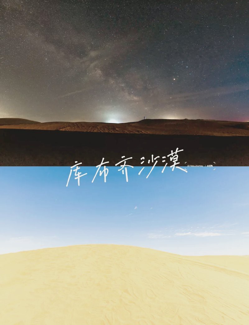 杭錦旗龍魚(yú)店【《杭錦旗龍魚(yú)店：水族世界的奇妙角落》】