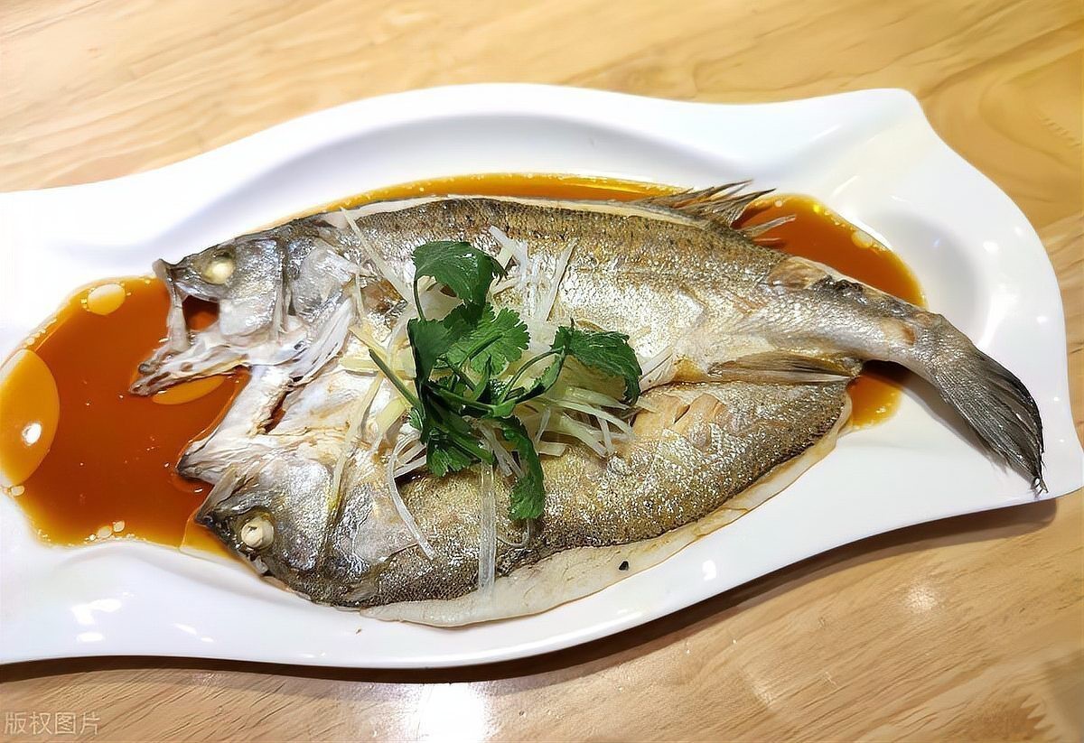 連云龍魚店【連云港哪里可以開一家連云龍魚店？】 連云龍魚店【連云港哪里可以開一家連云龍魚店？】 全國水族館企業名錄 第7張