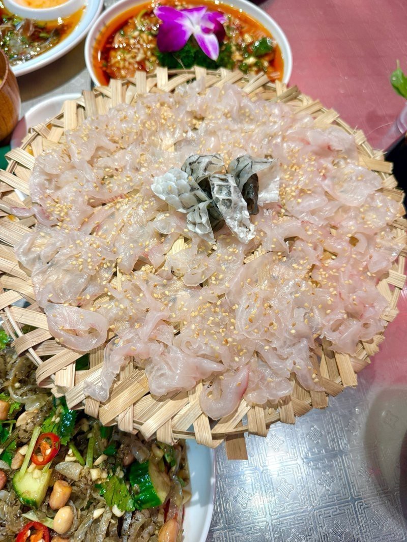潮安龍魚店【潮安龍魚店——水族世界的奇妙角落】