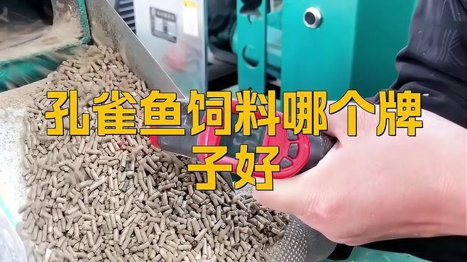 孔雀魚糧最好三個(gè)品牌【孔雀魚糧哪個(gè)牌子好】