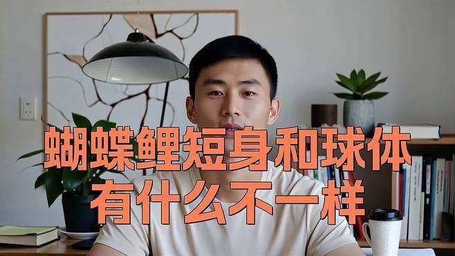 蝴蝶鯉買白普還是球體【騰訊視頻官方白普蝴蝶鯉怎么辨認蝴蝶鯉好還是白背好】 蝴蝶鯉買白普還是球體【騰訊視頻官方白普蝴蝶鯉怎么辨認蝴蝶鯉好還是白背好】 龍魚論壇 第7張