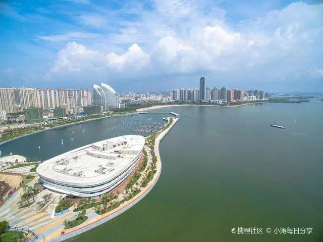 麻章龍魚店【水族世界的奇妙角落——麻章龍魚店】