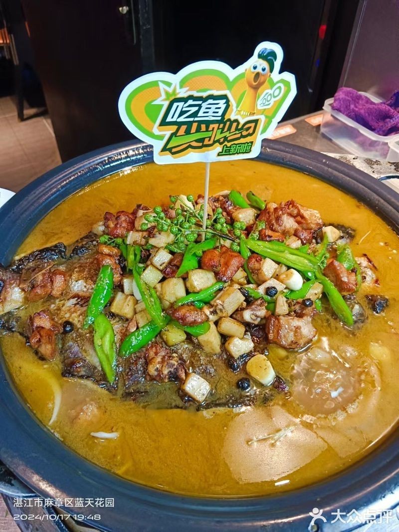 麻章龍魚店【水族世界的奇妙角落——麻章龍魚店】