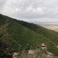 鎮(zhèn)宅最厲害的是什么龍【中國傳統(tǒng)文化中鎮(zhèn)宅神獸的多樣形象與美好寓意與價值】