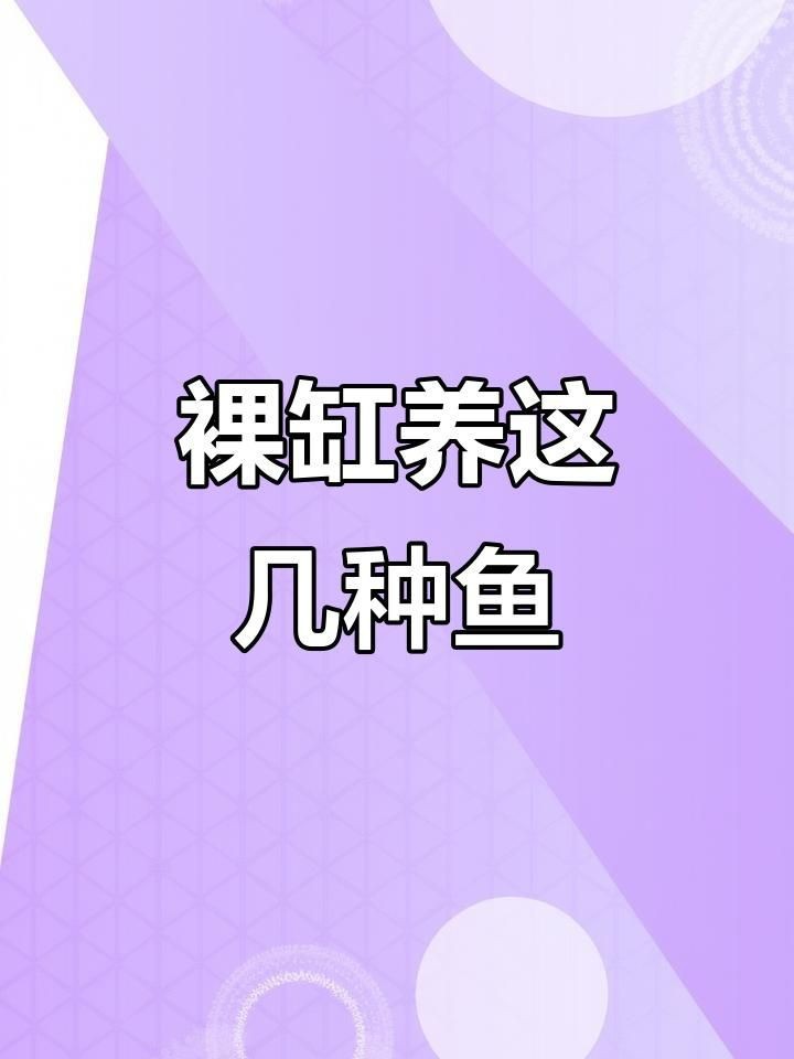 裸缸最好的魚第一名【裸缸最好的魚第一名糖心繪事】 裸缸最好的魚第一名【裸缸最好的魚第一名糖心繪事】 龍魚百科 第1張