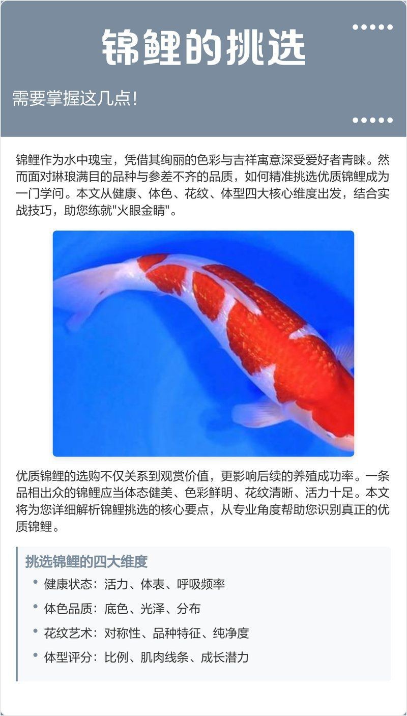 錦鯉三不過是好嗎【錦鯉三不過是好嗎“三不過”品鑒標(biāo)準(zhǔn)及其價(jià)值分析】