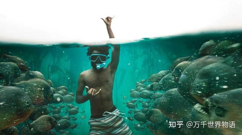 食人魚的祖先是誰【食人魚的歷史】