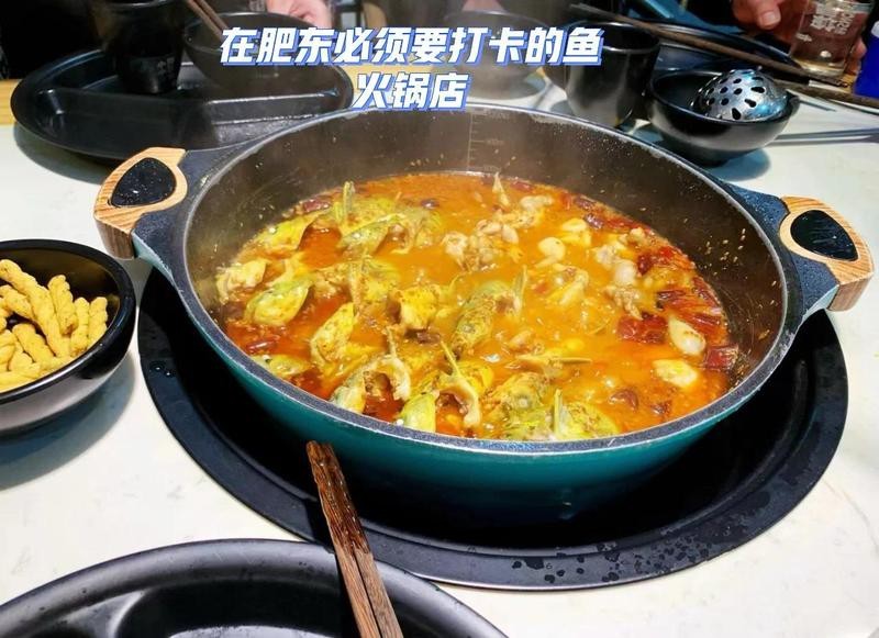 肥東龍魚店【江南漁村肥東龍魚店】 肥東龍魚店【江南漁村肥東龍魚店】 全國水族館企業名錄 第2張