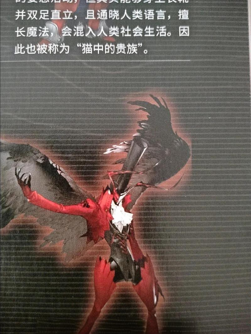大紅龍圖片【《大紅龍圖片》相關內容豐富多樣】