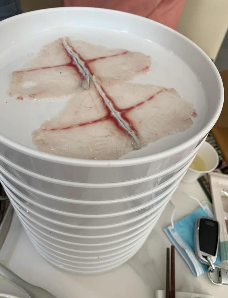 迭部龍魚店【如何鑒別迭部龍魚的品相】