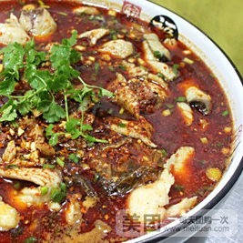 隴西龍魚店【聚龍灣龍魚有哪些品種】