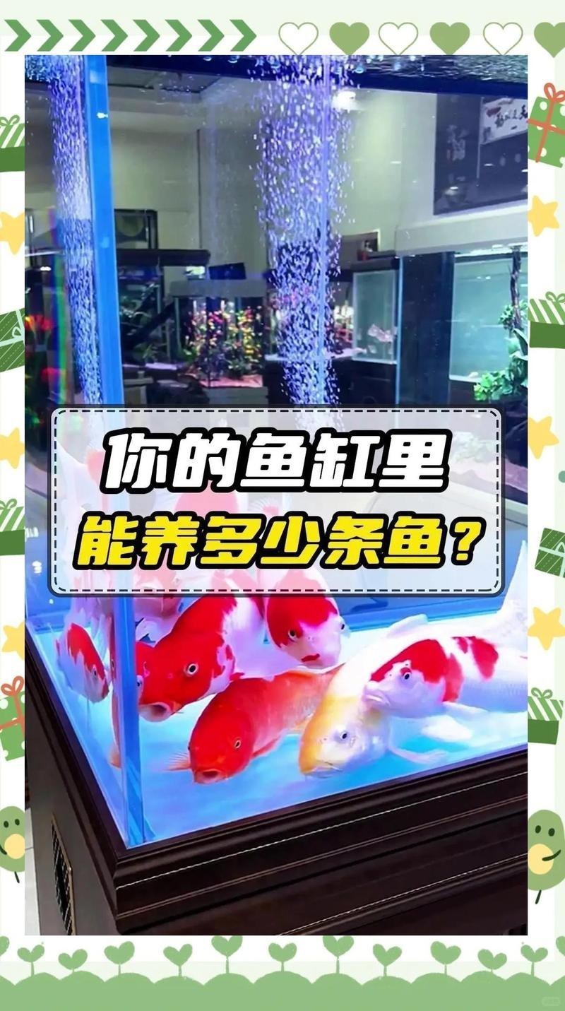 10040魚缸適合魚【10040魚缸適合養(yǎng)什么魚】