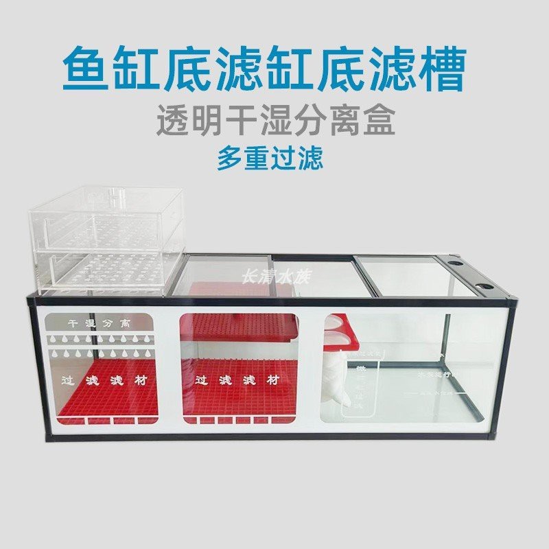長清水族店【《長清水族店：水族世界的奇妙角落》】