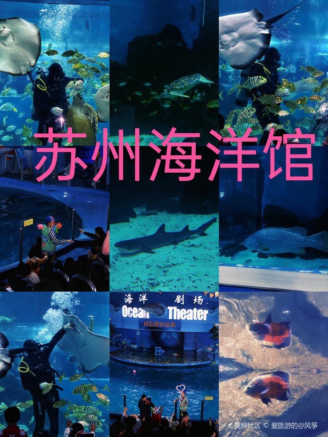 蘇州水族店【蘇州水族市場的位置】