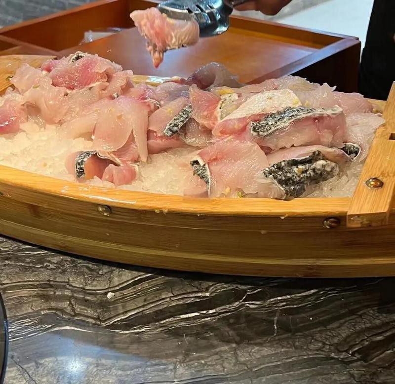 渦陽龍魚店【水族世界的奇妙角落——渦陽龍魚店】