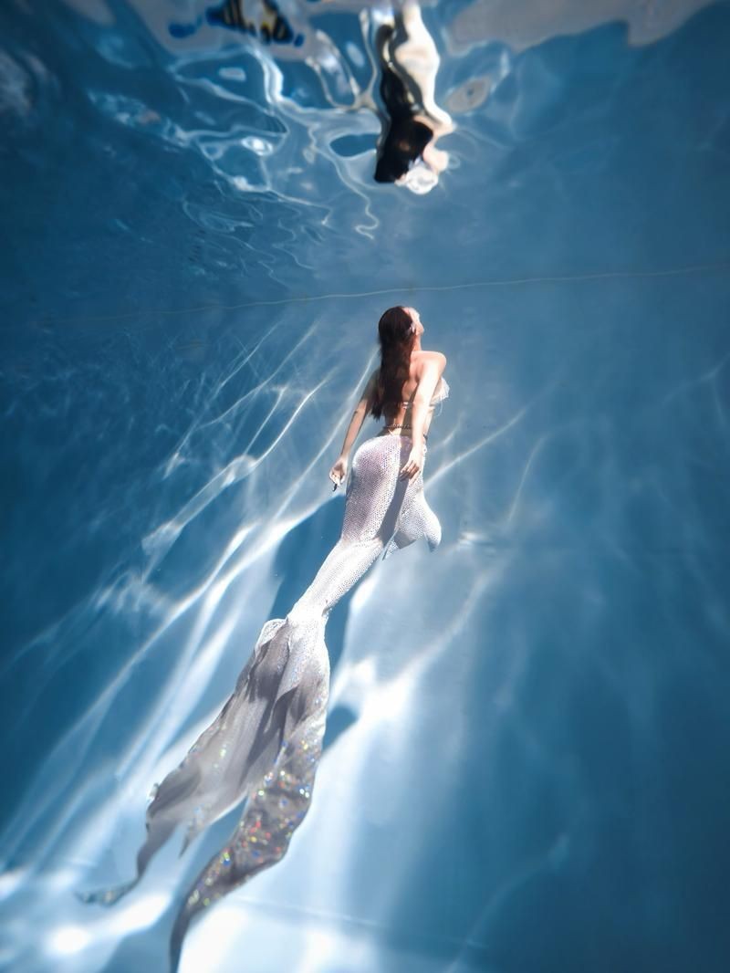 美人魚的私人部位圖片【關(guān)于美人魚的解剖結(jié)構(gòu)】