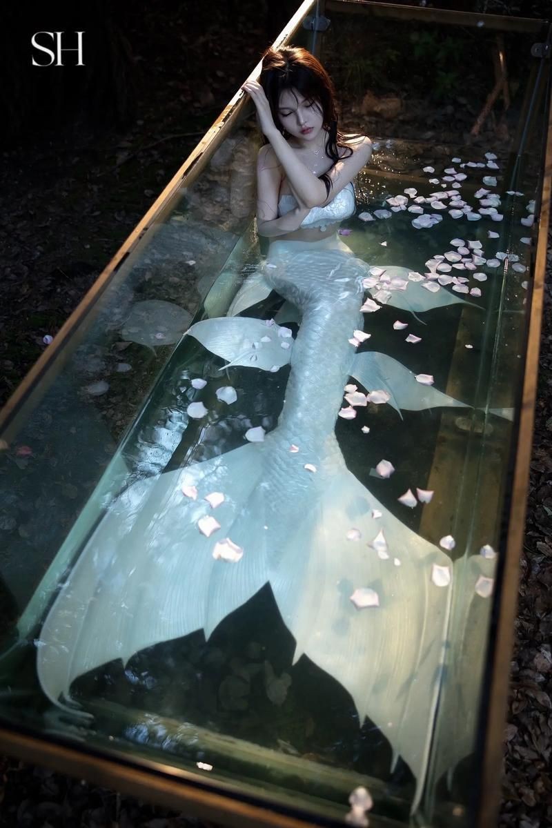 美人魚的私人部位圖片【關(guān)于美人魚的解剖結(jié)構(gòu)】