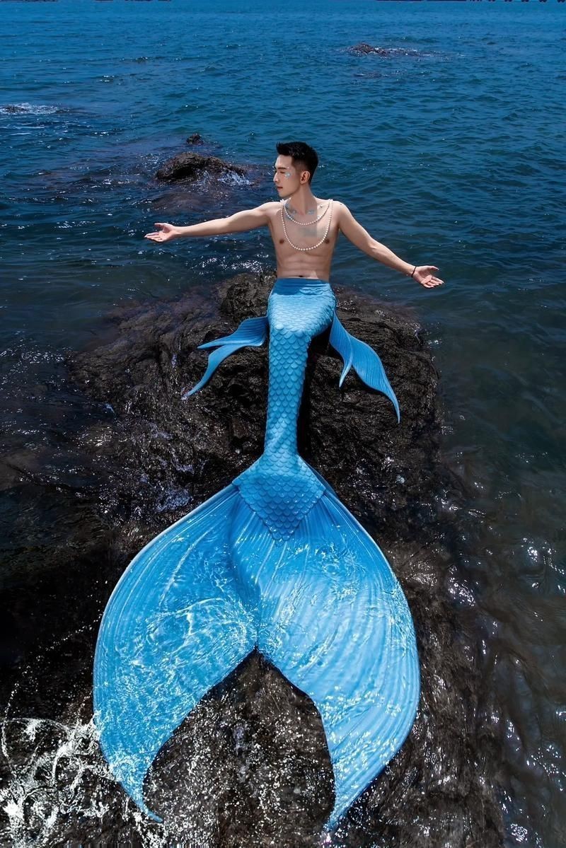 美人魚的私人部位圖片【關(guān)于美人魚的解剖結(jié)構(gòu)】