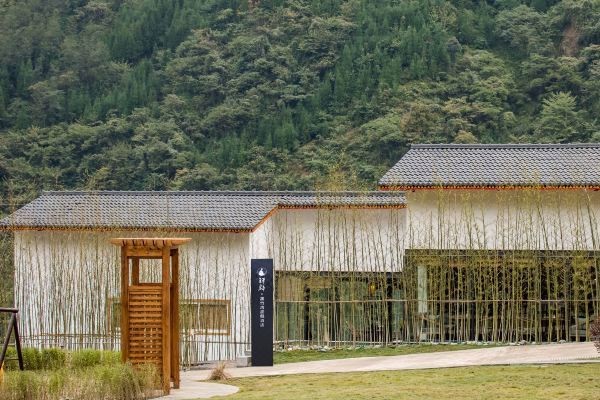 峨邊水族店【峨邊水族店：水上精靈的奇妙世界】