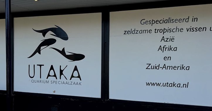 金門水族店【介休金門水族店：海洋生物的奇妙小天地，宛如一座隱匿在城市中的海洋寶藏庫】