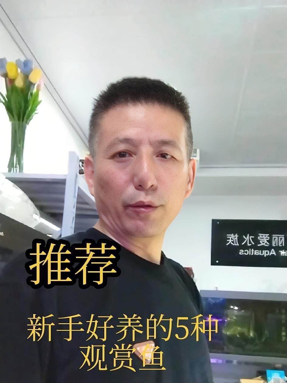 哪種魚最好養(yǎng)【十大最適合新手養(yǎng)的觀賞魚，皮實又美麗】