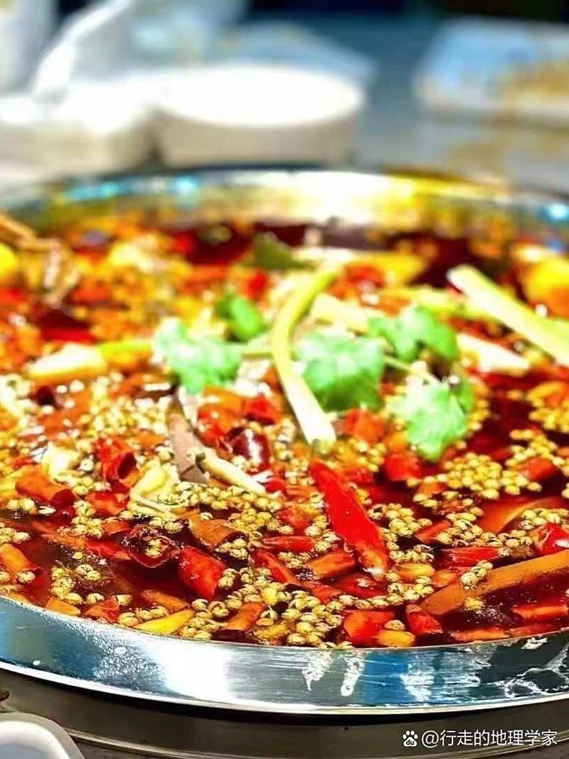 蓬溪龍魚店【蓬溪龍魚店——水族世界的奇妙角落】