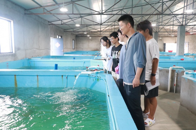 雷波龍魚店【海南共青團雷波龍魚店\