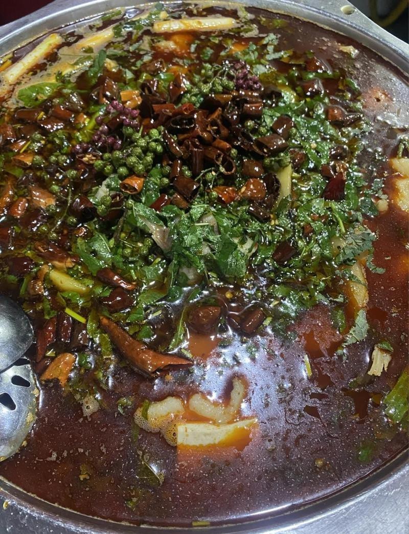 金口河水族店【金口河地區有水族店嗎】