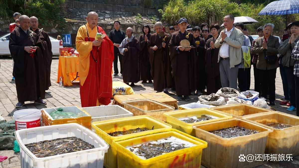 放生有三大忌諱時(shí)間【放生三大忌諱時(shí)間】