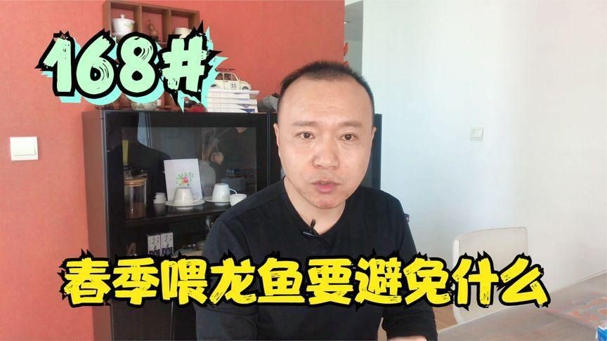 金龍魚最忌三種食物【金龍魚在飼養(yǎng)中有三種食物是較為忌諱的】 金龍魚最忌三種食物【金龍魚在飼養(yǎng)中有三種食物是較為忌諱的】 龍魚百科 第1張