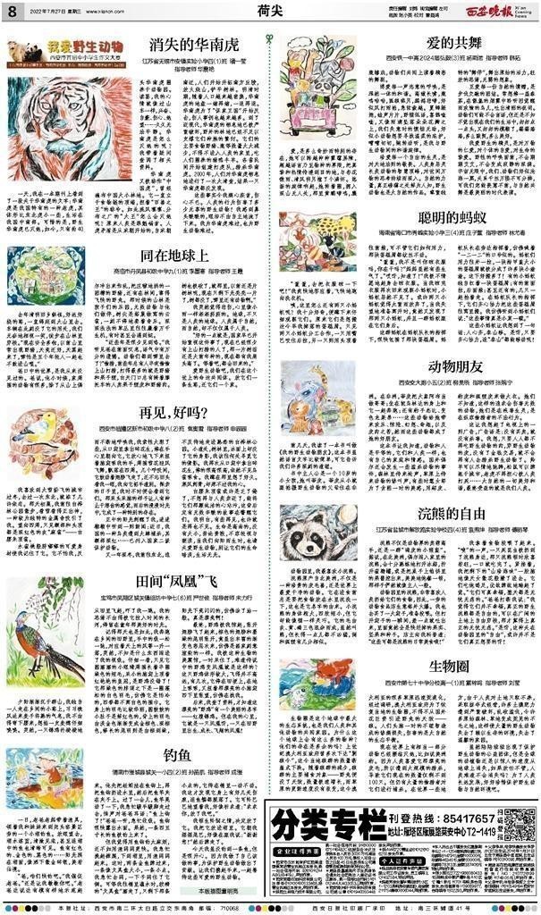 誰下令滅了華南虎【華南虎滅了華南虎是如何走向絕路的搜狐·歷史】