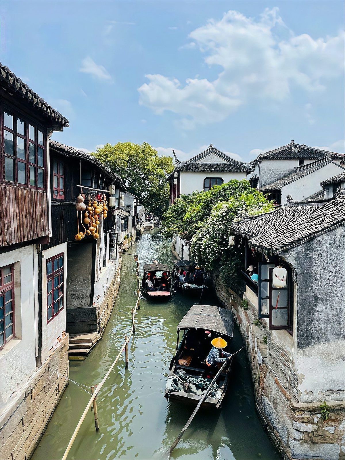 魚化龍一般人鎮不住嗎【“魚化龍一般人鎮不住”——說法】 魚化龍一般人鎮不住嗎【“魚化龍一般人鎮不住”——說法】 龍魚論壇 第11張