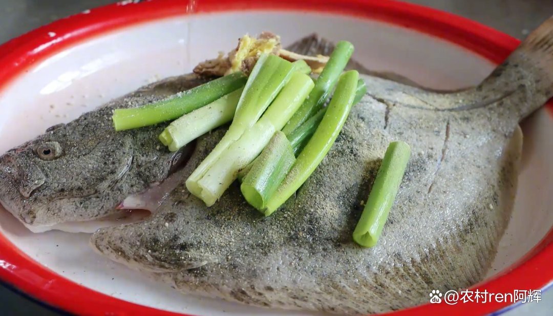 帶魚好還是鯧魚好【帶魚與鯧魚各有優(yōu)劣，難以簡單地評判孰優(yōu)孰劣】 帶魚好還是鯧魚好【帶魚與鯧魚各有優(yōu)劣，難以簡單地評判孰優(yōu)孰劣】 龍魚論壇 第3張