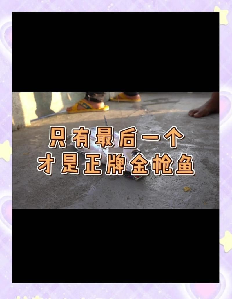 金槍魚10元一斤是真的嗎【關(guān)于“金槍魚10元一斤是真的嗎”金槍魚價格大揭秘】