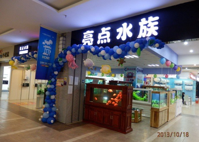 十大水族店加盟費明細【2025年十大水族店加盟費全景分析“歡樂水族”加盟費10萬元】