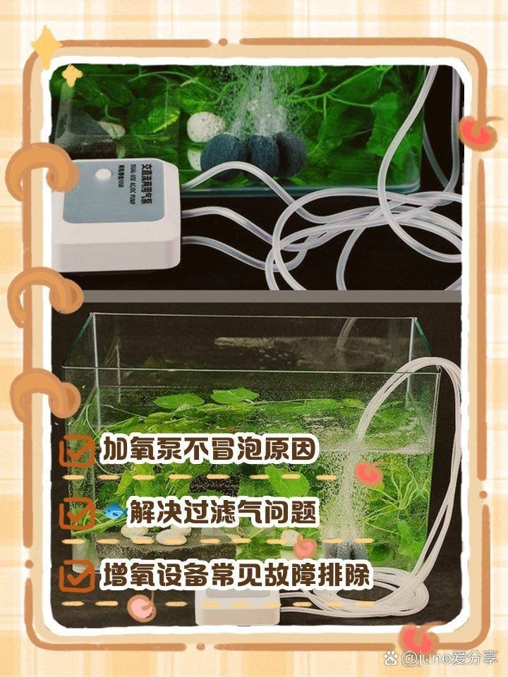 老魚匠氧氣泵不打氧【老漁匠氧氣泵不出氧氣怎么回事june愛分享】