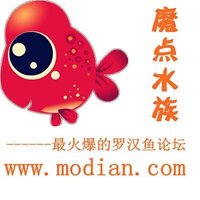 羅漢魚平臺登錄入口【關于羅漢魚平臺登錄入口的建議】