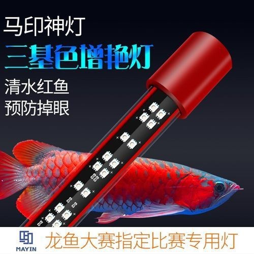龍人最好的三個職業【《龍人最好的三個職業》】 龍人最好的三個職業【《龍人最好的三個職業》】 龍魚百科 第21張