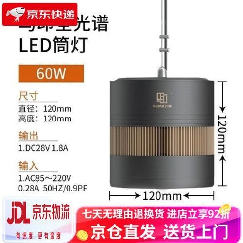 龍人最好的三個職業【《龍人最好的三個職業》】 龍人最好的三個職業【《龍人最好的三個職業》】 龍魚百科 第25張