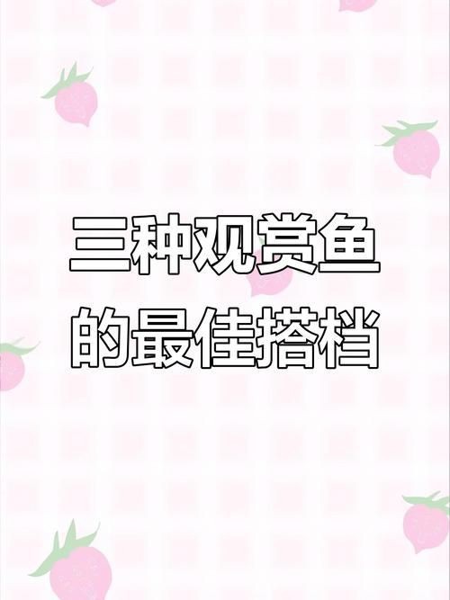 龍魚虎魚最佳搭配圖【養魚老道，龍魚和什么魚混養比較合適】